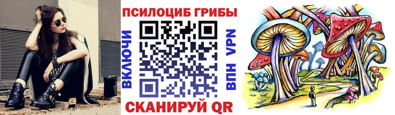 наркотики Багратионовск Галлюциногенные грибы мухоморы