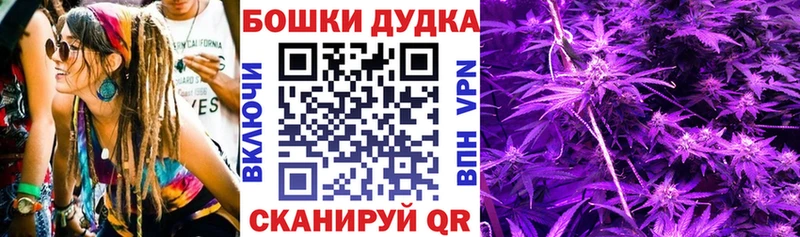 где можно купить наркотик  Багратионовск  Бошки марихуана Amnesia 